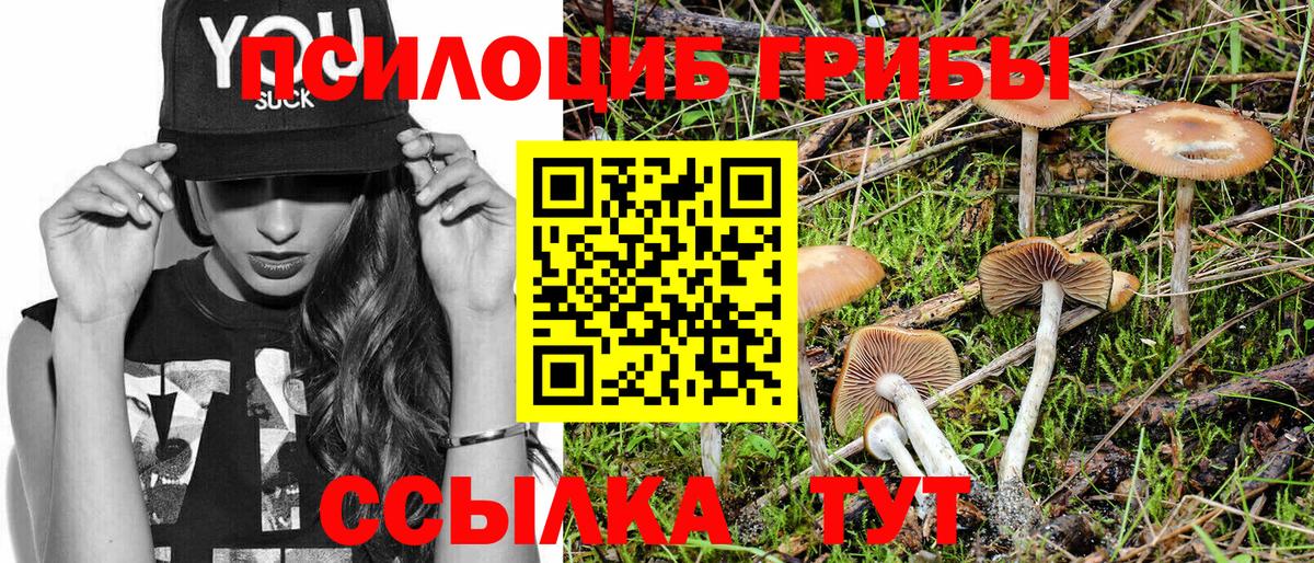 Псилоцибиновые грибы Psilocybine cubensis Лангепас